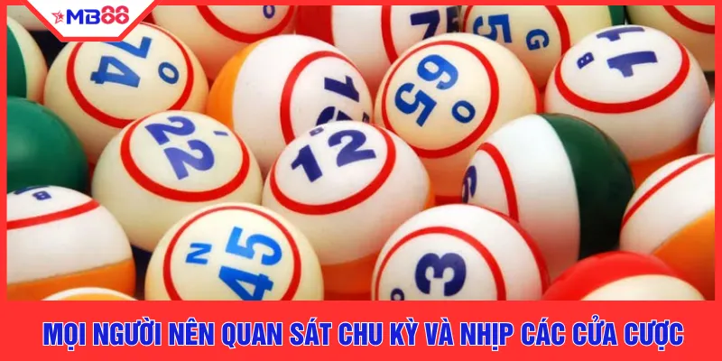 Mọi người nên quan sát chu kỳ và nhịp các cửa cược